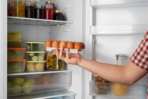 Основные шаги для чистки холодильника
