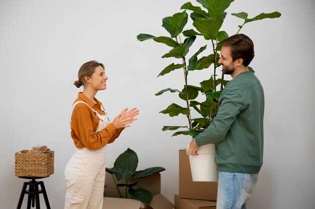 Комнатные растения для семейного счастья и благополучия в доме: признанные зеленые обереги