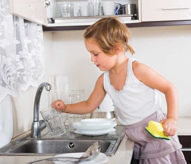 Выбираем идеальное решение для чистки посуды на кухне