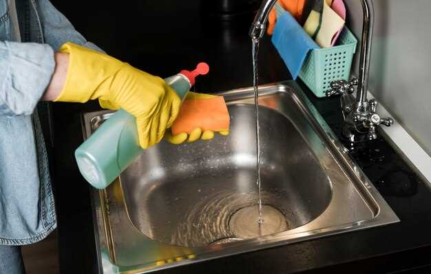 Моющие средства для кухни: чем мыть посуду, плиту, раковину и пол